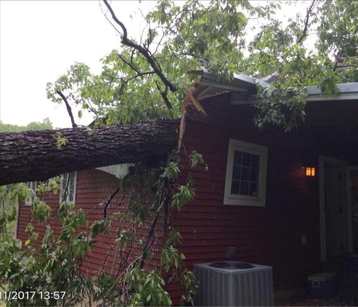 home with tree fallen on roof